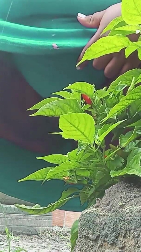 Hot BBW of hairy pussy pissing behind the bush | Clip 2