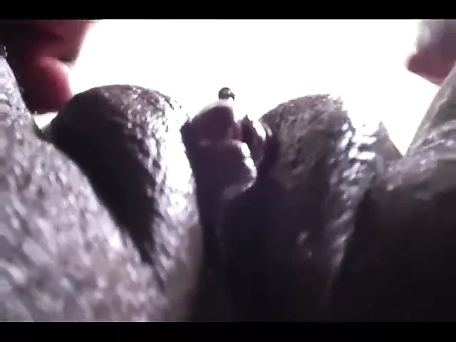 妈咪那个大女人偷了我的耳环