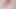 Gadis kelinci ngentot memek bejatnya yang penuh nafsu dengan dildo panjang close-up.