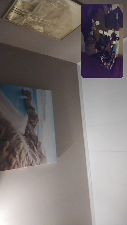 Moja žena Jenny J i ja se doggamo u stražnjem prolazu naše kuće.