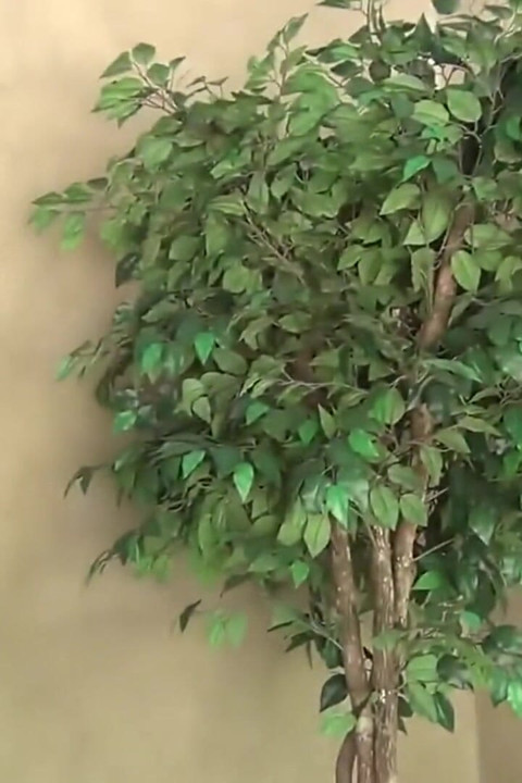 Γλείψε τον κώλο και το υγρό μουνί μου