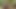 Korkak olduğunu her zaman aç için raw horoz