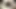 Neighbor's Wife Masturbates in Front of Me Standing Doggy Style with Her Shaved Wet Pussy - I Jerk off a Dick and Cum