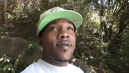 The Fox Eats It All (part 2)