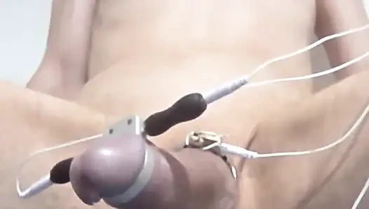 Evcil hayvan bir yabancı tarafından döllenmeyi çok seviyor
