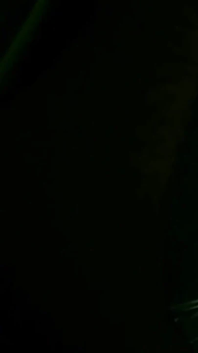 "Le più BELLE SCENE DEI MIEI VIDEO PARTE 2".