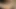 Canavar siyah yapay penis içinde benim ıslak milf kedi