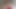 私の小さなおもちゃにあなたを縮める