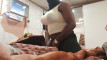 Pratinjau video
