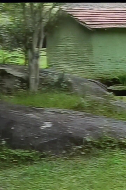 ट्रांस कमबख्त आदमी