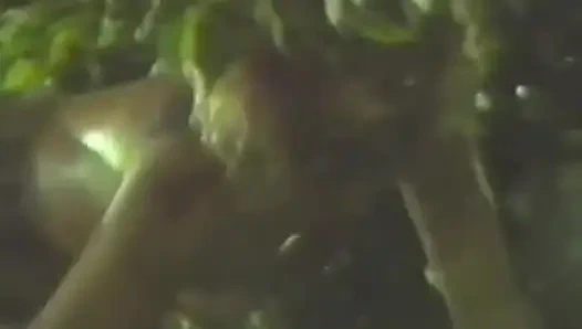 Masturbation and Hardcore Action From This Vintage Couple