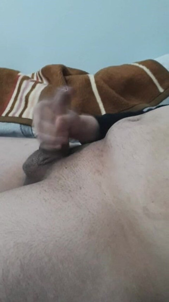 Anelehta