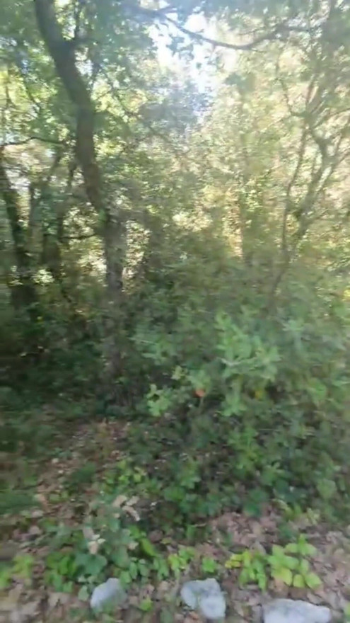 Outdoors, caught masturbating while watching the neighbor who is sunbathing in a thong bikini | Clip 1