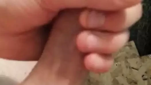 Wildermarie için sürtünme