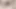 Stepsister gets fingered by stepbrother. The Hairy Cunt