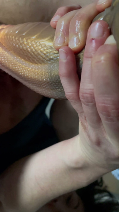 İlk defa Bad Dragon'a biniyorum ve bayıldım! - Dazzlingfacegirl | Bölüm 1