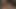 I heard you have a really big cock JOI