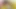 Ateşli üniversiteli kız partneriyle sert sikişiyor - İngilizce porno