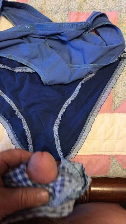 Jerkin and cumming into wifes panties