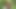 ハニー、私は混乱させました
