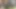 Horny African Twink boys body and cum language