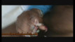 Pregled videozapisa