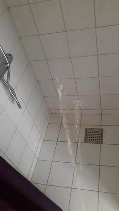 Đi tiểu trong vòi hoa sen