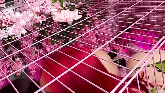 Pink room ep.33: geile latina-schlampen zoey und jessica lieben schwanz