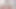Güzel kedi müziği