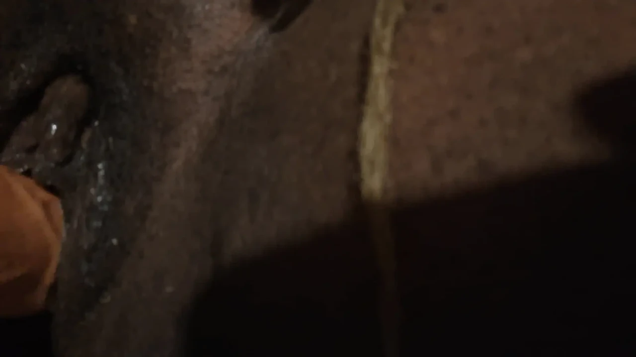 Neighbor likes to fuck me after work