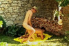 Pregled videozapisa