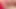 Femboy Sissy Rides Big Dick in White Pantyhose and Thong Penis Wagging Around Until Intense Prostate Anal Orgasm Handsfree