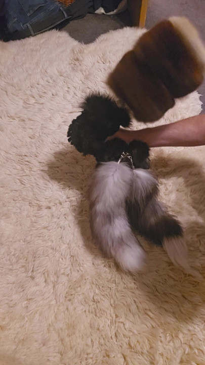 A drill covered in fur..and it is amazing. Furry fetish toys