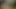 I suck my girlfriend's hairy pussy before going to bed