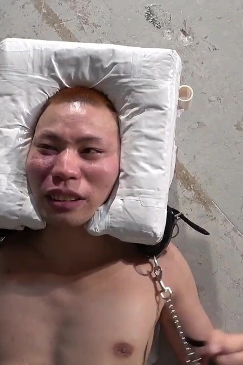 Facesitting Box Crushing Face, Face Trampoline, Ass and Pussy Rubbed Against Face, Face Tied to Ass and Taken for a Walk