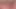 Vulva in the Night Forest