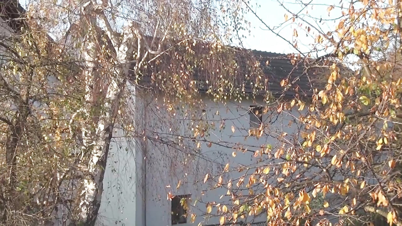 Mature rides on stranger's cock and suck it up