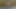 new cum-tribute for Gina