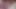 Kaoris Sultry Asian Touch Bisa Bikin Kamu Sange Dan Muncrat Berahi