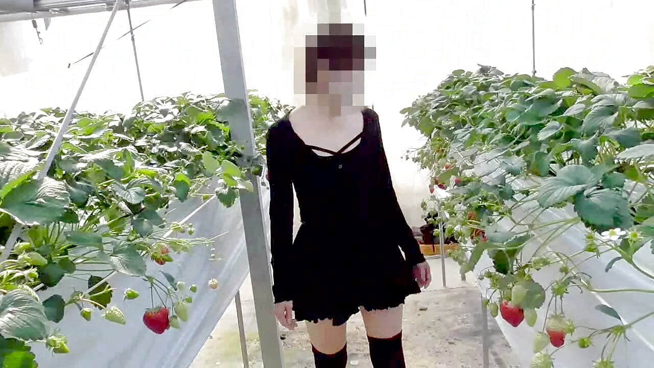Mayu No.45 Strawberry Hunting Exposure, Immediate Oral, Swallowing Specialized
