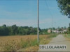 Pratinjau video