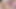 Aaliyah Hadid and Eve Ellwood anal threesome