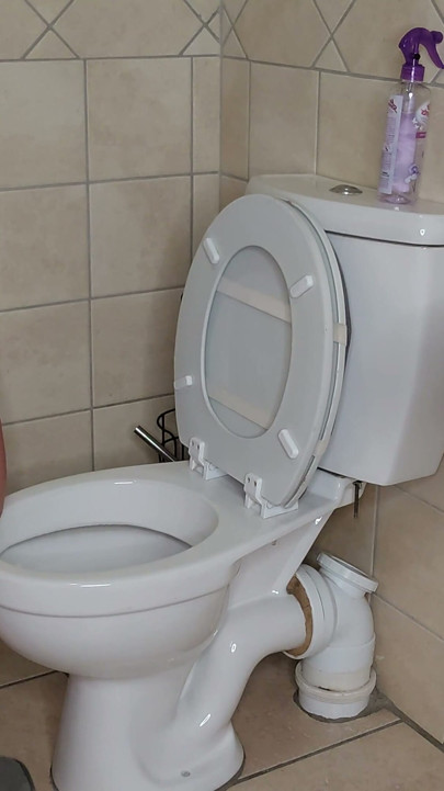 İri güzel kadın umumi tuvaleti nasıl yalamanız için talimat ediyor, döl geri sayım | Klip 1