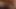 Hentai Wildlife Animated Game 2022 18+