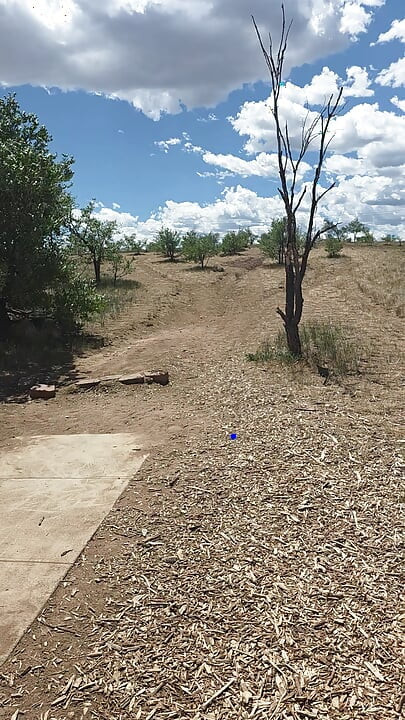Ballbusting and disc golf part 2