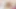 BRINGMEABOY Tattooed Bert Kuna Barebacks Ollie Barn After Cock Sucking