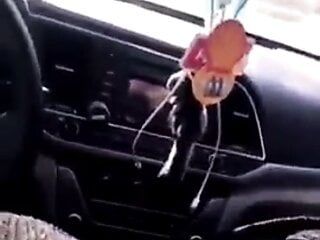 Vrouw in een hijab zuigt christelijke pik in de auto