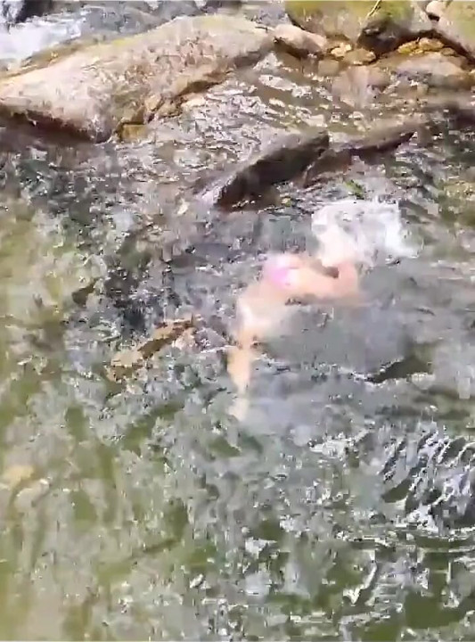 Waterfall