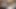 一目惚れのセックス