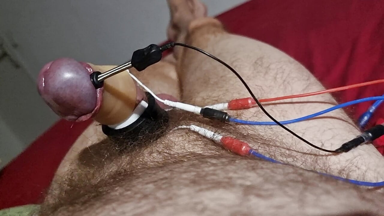 Et312 estim electrified acorn that runs away